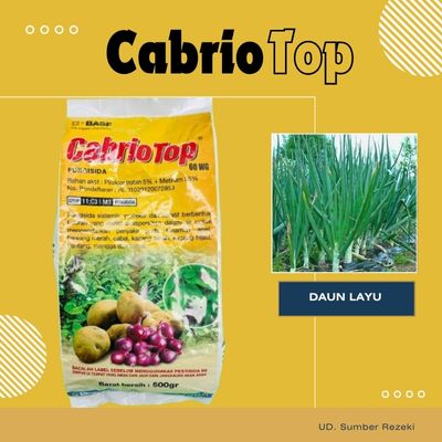 Cabrio Top